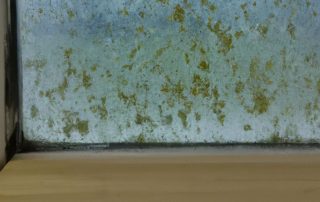 How Do You Get Rid of Mold on Windows?