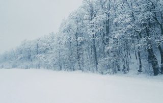 What Temperature Should Your House be During a Freeze?