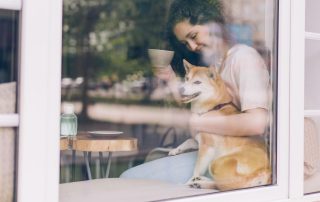 Can Windows be Airtight?
