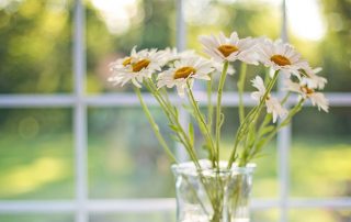 Are There Rebates or Grants for Window Replacements?