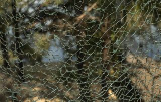 Can You Stormproof Your Windows?